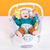 imageBright Starts Comfy Baby Bouncer Soothing Vibrations Infant Seat  Taggies Music Removable Toy Bar 06 Months Up to 20 lbs Whimsical WildWhimsical Wild