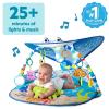 imageBright Starts Disney Baby Finding Nemo Mr Ray Ocean Lights ampamp Music Gym Ages Newborn Finding Nemo