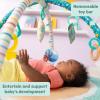 imageBright Starts Disney Baby Finding Nemo Mr Ray Ocean Lights ampamp Music Gym Ages Newborn Stitch
