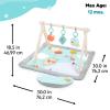 imageBright Starts Disney Baby Finding Nemo Mr Ray Ocean Lights ampamp Music Gym Ages Newborn Winnie the Pooh