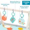 imageBright Starts Disney Baby Finding Nemo Mr Ray Ocean Lights ampamp Music Gym Ages Newborn Winnie the Pooh