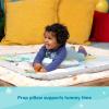 imageBright Starts Disney Baby Finding Nemo Mr Ray Ocean Lights ampamp Music Gym Ages Newborn Winnie the Pooh
