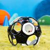 imageBright Starts Oball Rollin Rainstick Rattle EasyGrasp Toy Ages 3 Months Black  White Soccer Ball