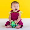 imageBright Starts Oball Rollin Rainstick Rattle EasyGrasp Toy Ages 3 Months Green