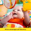 imageBright Starts Pink Paradise Portable Baby Bouncer with Vibrating Infant Seat and Toy Bar Max Weight 20 lbs Age 06 MonthsPlayful Pinwheels
