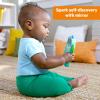 imageBright Starts Press ampamp Glow Spinner Cause and Effect Musical Baby Toy Age 6 MonthsElephone
