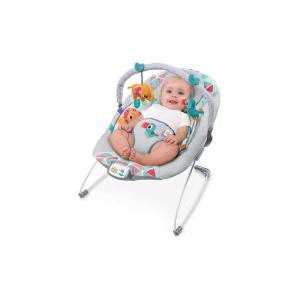 imageBright Starts Baby Bouncer Soothing Vibrations Infant Seat  Taggies Music Removable Toy Bar 06 Months Up to 20 lbs Toucan Tango
