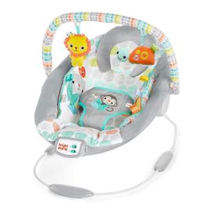 imageBright Starts Comfy Baby Bouncer Soothing Vibrations Infant Seat  Taggies Music Removable Toy Bar 06 Months Up to 20 lbs Whimsical WildWhimsical Wild