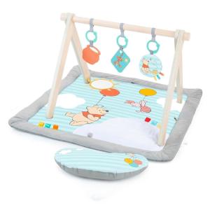 imageBright Starts Disney Baby Finding Nemo Mr Ray Ocean Lights ampamp Music Gym Ages Newborn Winnie the Pooh