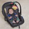 imageBright Starts Sun Shaker Shake ampamp Glow Baby Activity Toy  Musical Light Up Infant Toy Take Along for Ages 3 Months